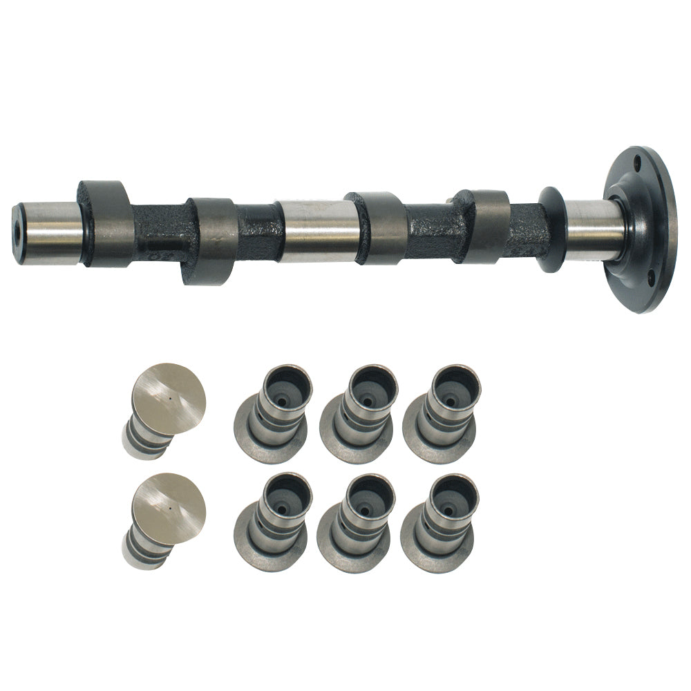 CAMS & LIFTERS